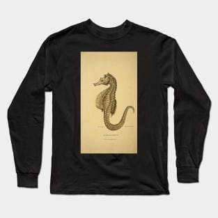 Hippocampus: seahorse Long Sleeve T-Shirt